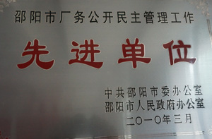 企业荣誉 第 12 张